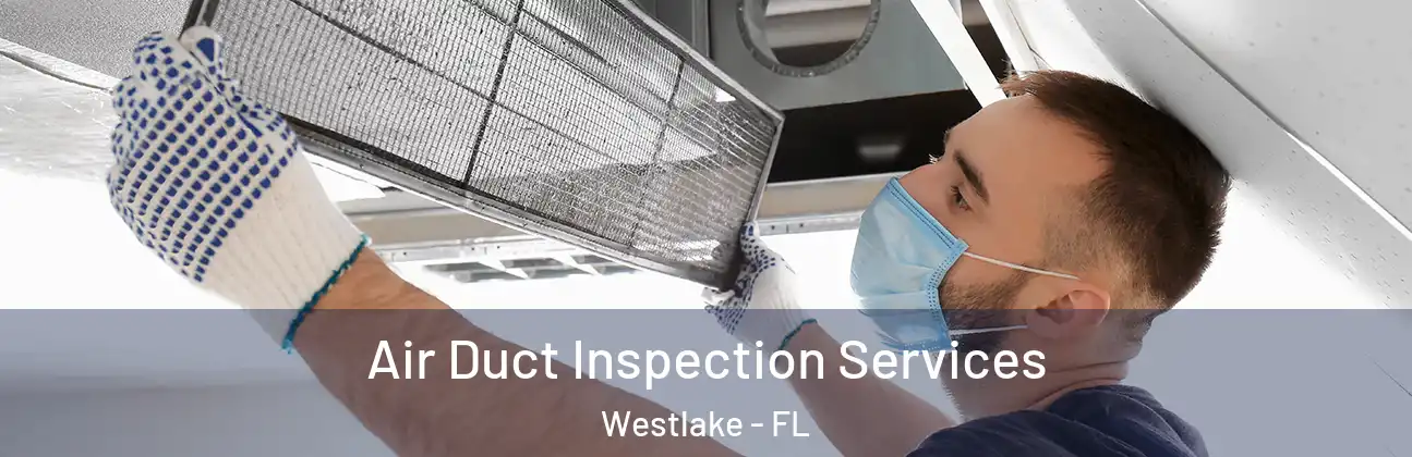 Air Duct Inspection Services Westlake - FL