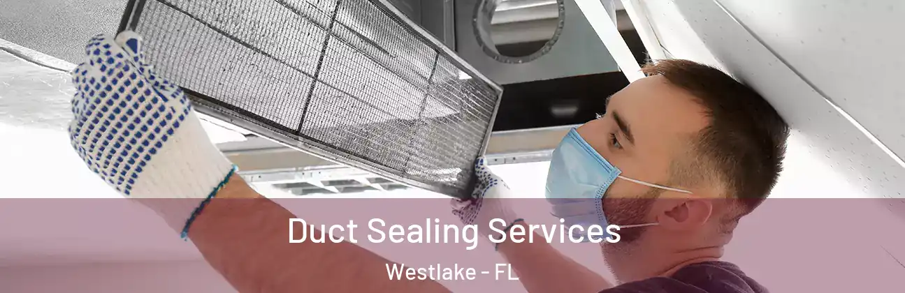 Duct Sealing Services Westlake - FL